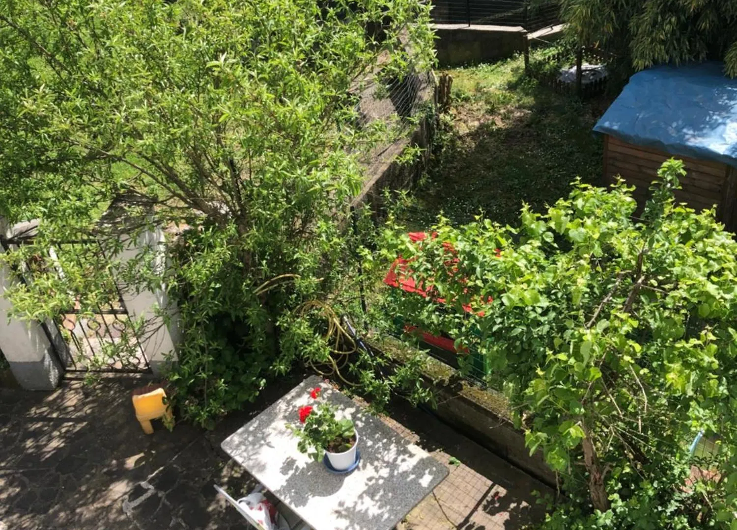 La Primula Vicinanza 5 Terre Villa Ricco del Golfo di Spezia