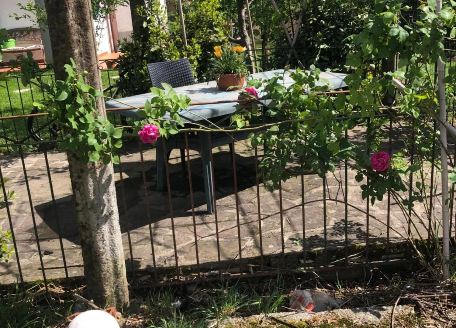 La Primula Vicinanza 5 Terre Villa Ricco del Golfo di Spezia