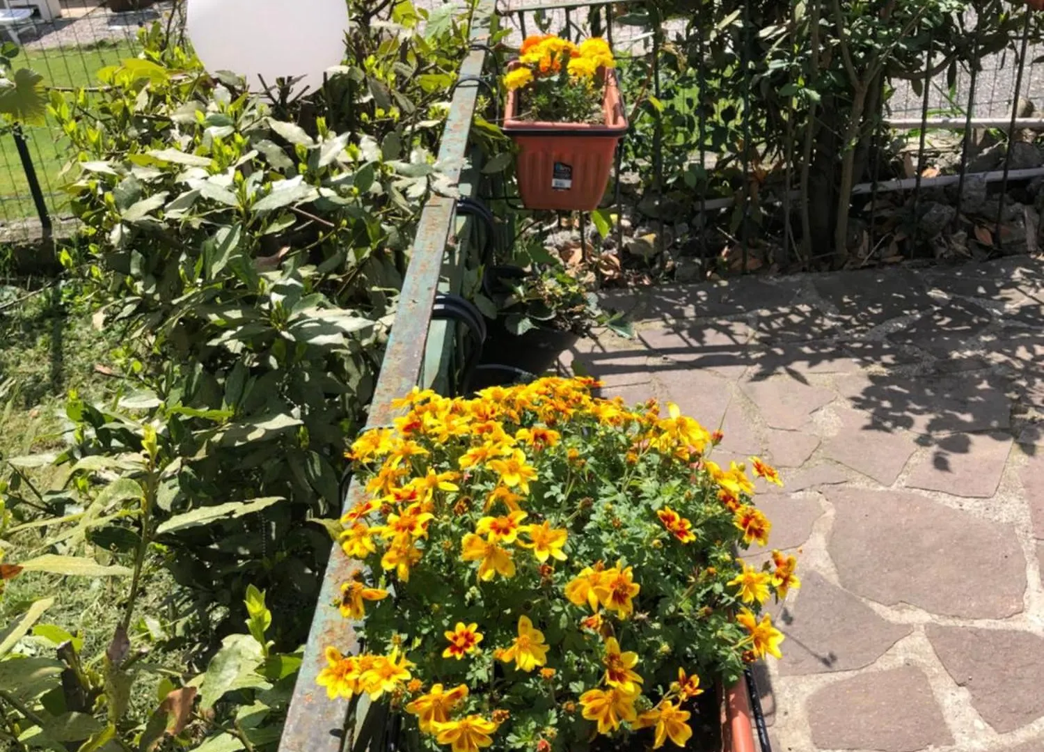 La Primula Vicinanza 5 Terre Villa Ricco del Golfo di Spezia